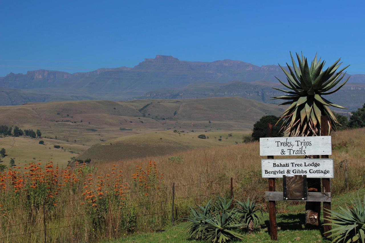 Treks, Trips And Trails Champagne Valley Exterior foto