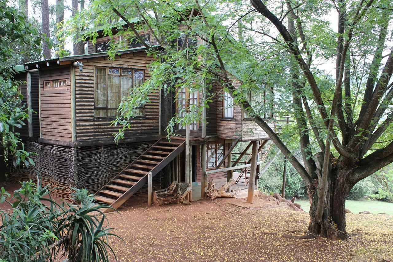 Treks, Trips And Trails Champagne Valley Exterior foto